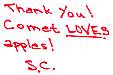 santa_thanks