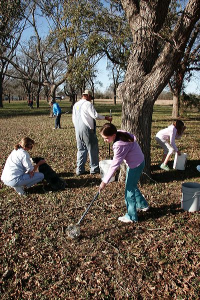 pickingpecans3.jpg