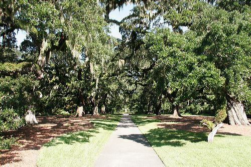 _mg_3847.jpg