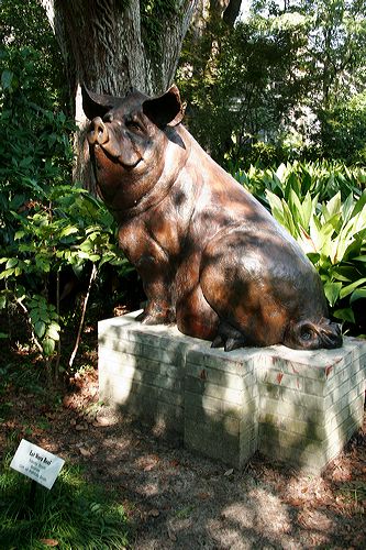 _mg_3853.jpg