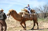 img_0068
