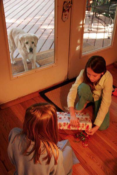 openingpresent.jpg