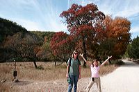 img_4449
