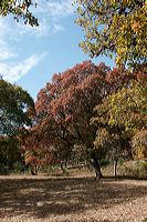 img_4467
