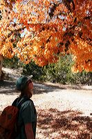 img_4471