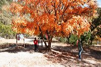 img_4477