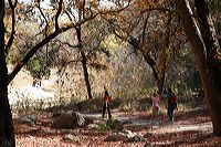 img_4489