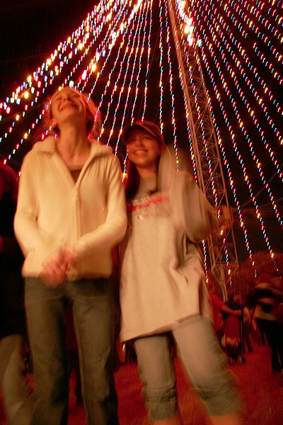 _mg_8810.jpg