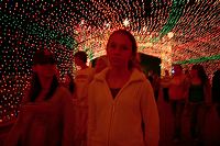 _mg_8829