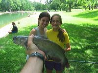 2006-05-31-2fff4dd5-_263caf