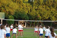 2006-06-06-cf1b0129-_26fab4