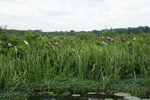 _mg_9275.jpg