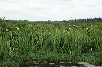 _mg_9275