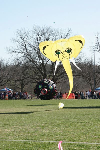 _mg_9094.jpg