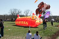 _mg_9092