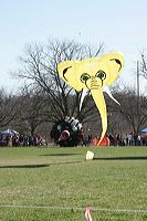 _mg_9094