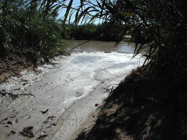 p1010001.jpg