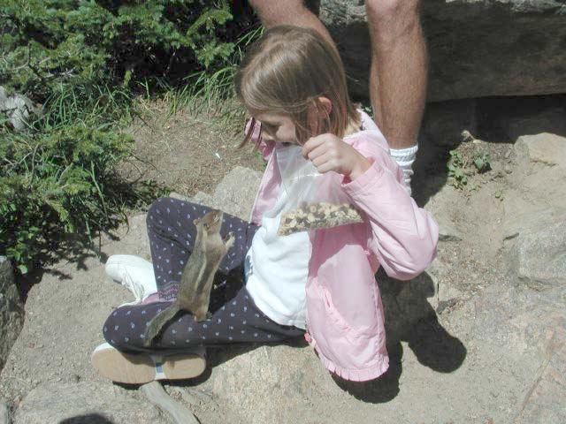friendlysquirrel