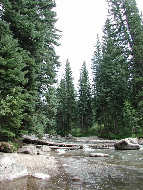 gorecreek