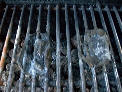hamburgers