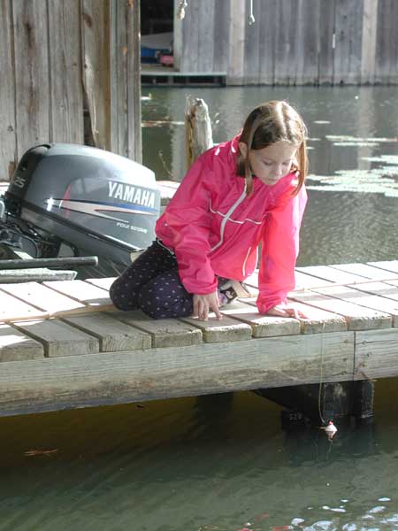 KateOnDock4