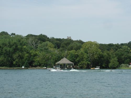p8155036