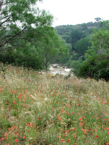 flowersandriver_a