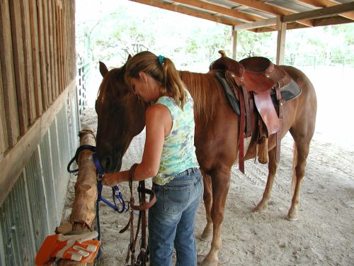 beverlyandoneofherhorses
