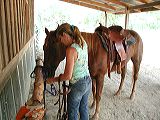 beverlyandoneofherhorses