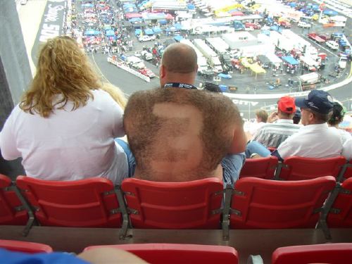 at_the_races