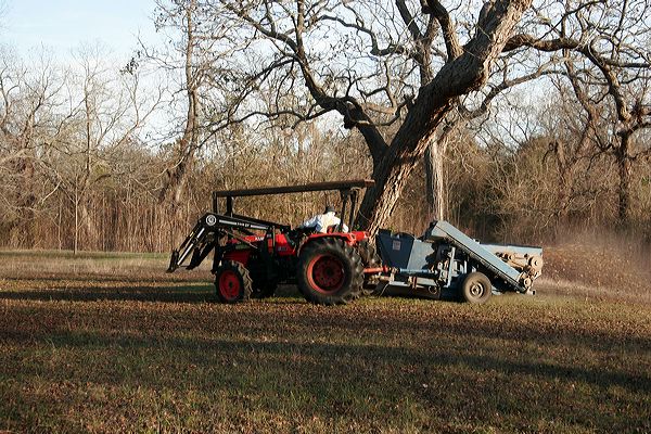 harvesteratwork.jpg