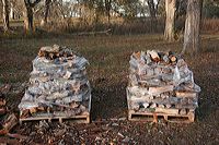 wood